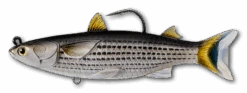 Live Target Mullet & Herring Swimbaits -Fishing Gear Shop 8091