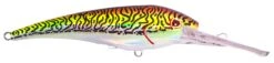 Nomad DTX Minnow 120 -Fishing Gear Shop DTX120 F COM