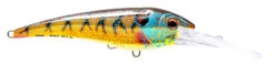 Nomad DTX Minnow 140 -Fishing Gear Shop DTX140 F BGL