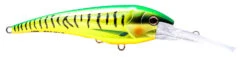 Nomad DTX Minnow 140 -Fishing Gear Shop DTX140 F GT