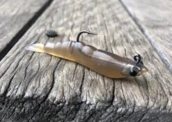 MMD Soft Prawn -Fishing Gear Shop IMG 2777 1024x1024 2x bc9f0cc6 65d3 4a79 bf5e 2635db8759f9