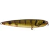 Atomic Hardz K9 Bulldog 2 Atomic Hardz K9 Bulldog -Fishing Gear Shop Muddy prawn 5f2be4d8 31da 45cc 84d4 04b3c2e42708