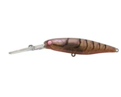 Jackall Squirrel 67SP -Fishing Gear Shop PINK EYE SUJIsquirrel 79 pink eye suji 2 1800x1800 3e348e43 c085 4ad0 8053 02bdbe36a7e1