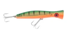 Halco Roosta Popper 195 -Fishing Gear Shop RP195r26 png d7459181 b63c 4d4d 940f 12f3bcc00606