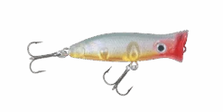 Halco Roosta Popper 60 -Fishing Gear Shop RP60 R42