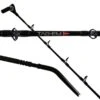 Shimano Tag-em Deep Drop 2 Shimano Tag-em Deep Drop -Fishing Gear Shop ShimanoTag EmRod