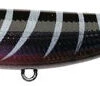 Lucky Craft Sammy -Fishing Gear Shop blk shrimp