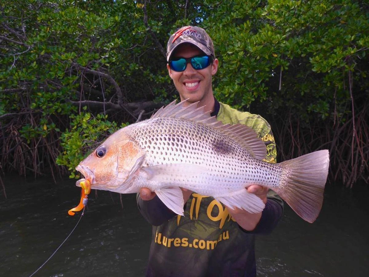 Tackle Tactics Snakelockz Jig Heads 6 Tackle Tactics Snakelockz Jig Heads - Image 4