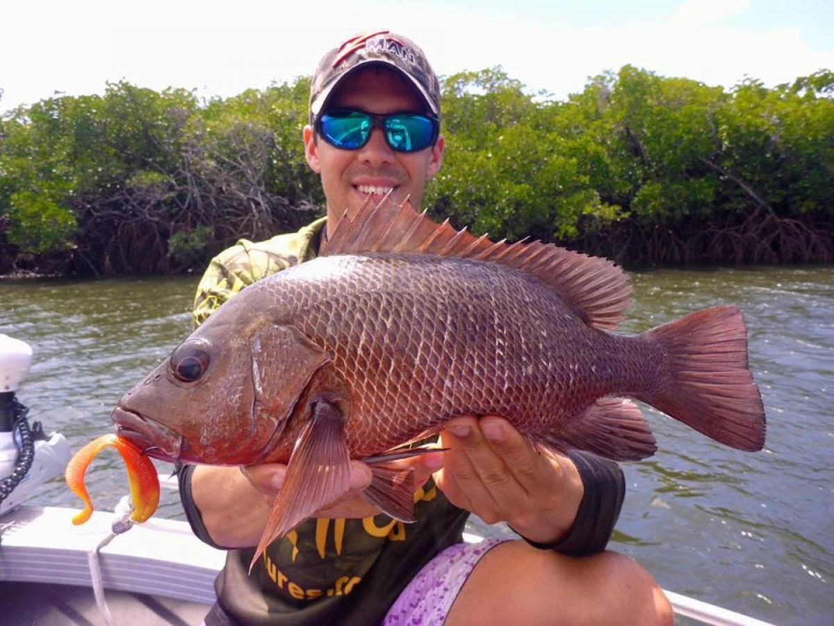 Tackle Tactics Snakelockz Jig Heads 7 Tackle Tactics Snakelockz Jig Heads - Image 5