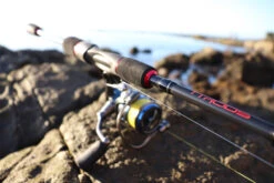 TTRods Red Belly Spin Rods -Fishing Gear Shop full 3271 TTRods RedBelly Outdoor 13 web