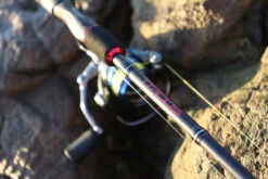 TTRods Red Belly Spin Rods -Fishing Gear Shop full 3272 TTRods RedBelly Outdoor 03 web