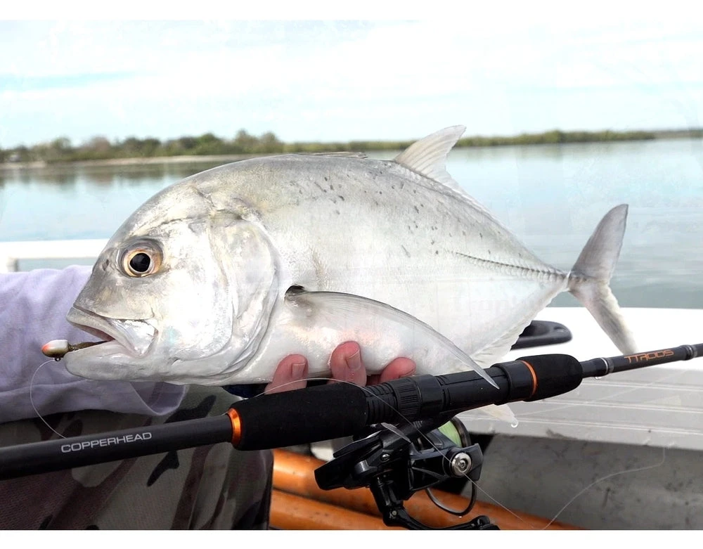 TTRods Copperhead Spin Rods 6 TTRods Copperhead Spin Rods - Image 4