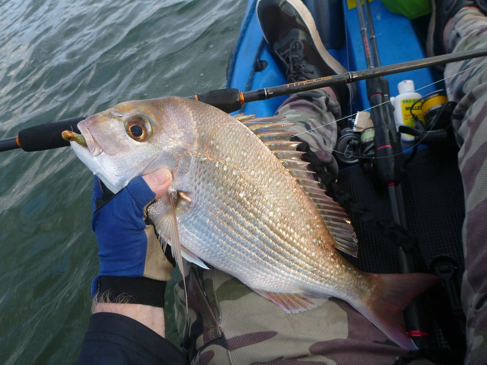 TTRods Copperhead Spin Rods 8 TTRods Copperhead Spin Rods - Image 6