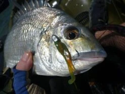 Tackle Tactics Finesse HeadlockZ Jig Heads -Fishing Gear Shop full 453