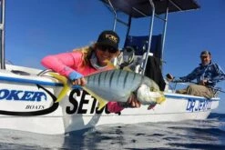 TT Switchblade HD Vibe -Fishing Gear Shop full 527