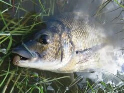 Tackle Tactics Tournament HWS Series 13 Tackle Tactics Tournament HWS Series -Fishing Gear Shop full 622