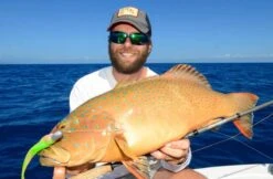 Tackle Tactics HeadlockZ HD Jig Heads -Fishing Gear Shop full 777