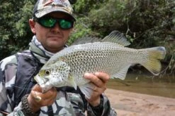 Tackle Tactics Jig Spinners -Fishing Gear Shop full 904