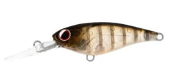 Daiwa Infeet Kodachi -Fishing Gear Shop ghost perch