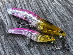 MMD Splash Prawns 33 MMD Splash Prawns -Fishing Gear Shop hot pink