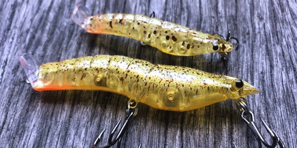 MMD Splash Prawns 15 MMD Splash Prawns - Image 13