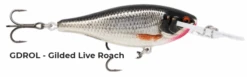 Rapala Shad Rap Elite -Fishing Gear Shop live roach f923145d aca0 4c11 aadf 1db6c3d0bde7