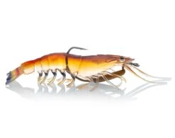 ChaseBaits Flick Prawn 24 ChaseBaits Flick Prawn -Fishing Gear Shop native prawn 286ded01 f22d 4f68 841f 22f998b824e0