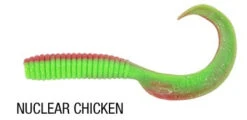 Berkley Gulp 6 Inch Grub Tail -Fishing Gear Shop nuc chicken