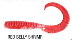 Berkley Gulp 6 Inch Grub Tail -Fishing Gear Shop red belly shrimp