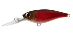 Daiwa Infeet Kodachi -Fishing Gear Shop sheer red