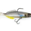 ChaseBaits Live Whiting -Fishing Gear Shop silver 7fb60c7f 882a 4f2b 8992 5210a0c5a34e