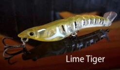 MMD Splash Prawns 26 MMD Splash Prawns -Fishing Gear Shop splash prawns lime tiger